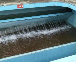 污水处理用阴离子聚丙烯酰胺