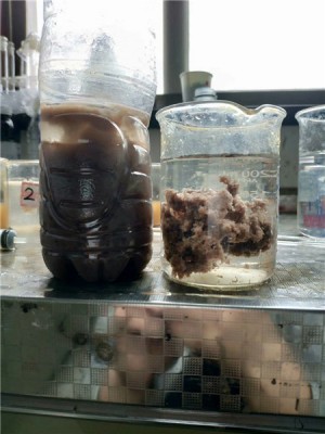 工业污泥处理中的阳离子聚丙烯酰胺