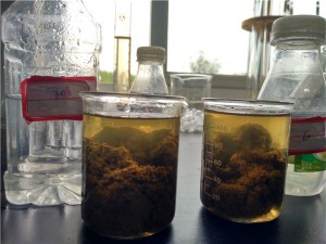 污水处理使用聚丙烯酰胺需注意哪些问题