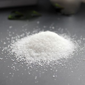 工厂车间聚丙烯酰胺污泥脱水的影响因素