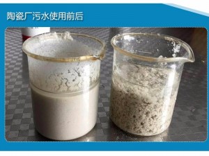 聚丙烯酰胺带您了解污泥老化的原因