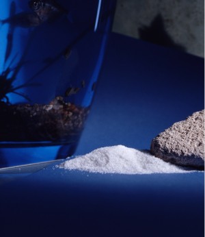 聚丙烯酰胺MSDS（化学品安全技术说明书）