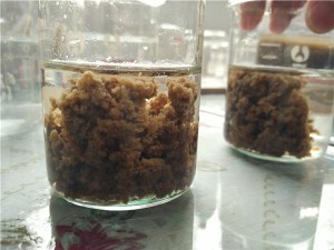 聚丙烯酰胺如何进行分批投药