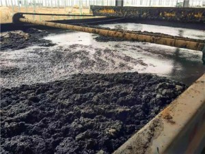 阳离子聚丙烯酰胺作用