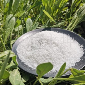 洗煤絮凝剂——聚丙烯酰胺絮凝剂