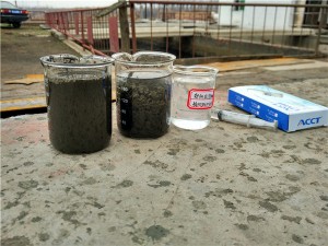 电厂水处理用聚合氯化铝or聚丙烯酰胺？