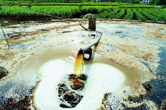 timg (1).jpg timg (1).jpg