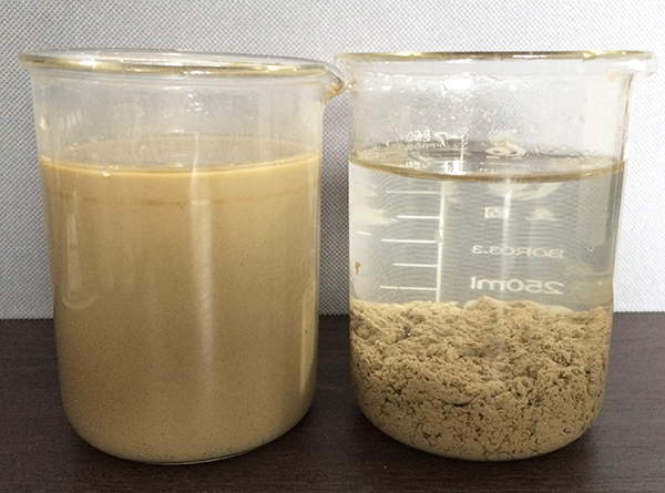 201902181519404142.jpg 201902181519404142.jpg